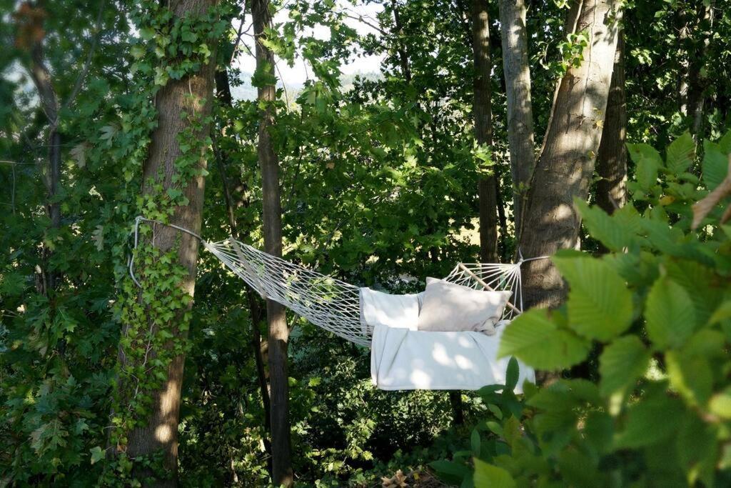 Wohnung Am Fusse Des Schwarzwalds Oberkirch  Esterno foto