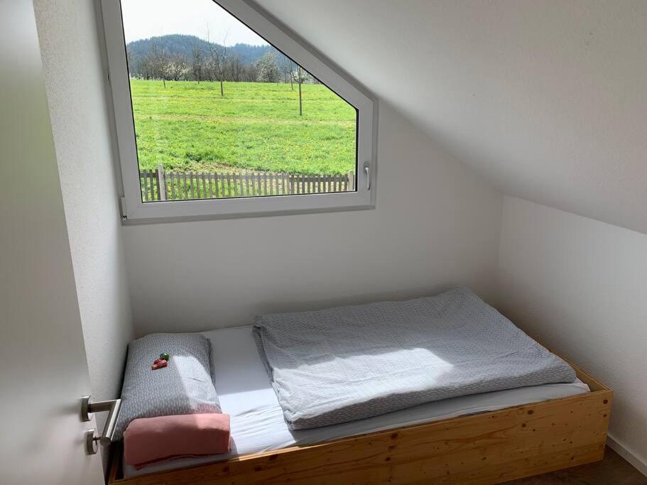 Wohnung Am Fusse Des Schwarzwalds Oberkirch  Esterno foto