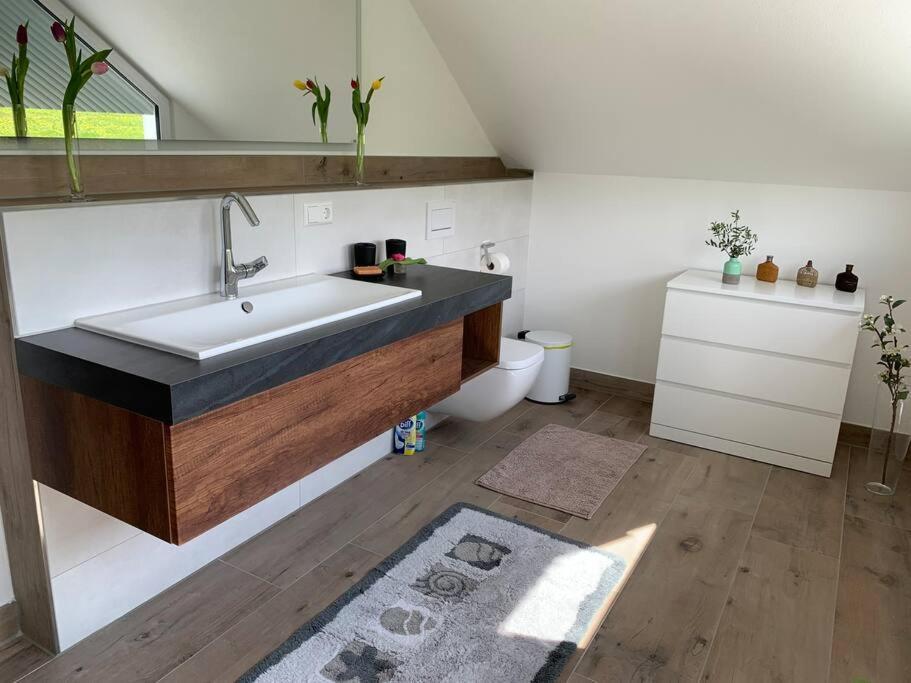 Wohnung Am Fusse Des Schwarzwalds Oberkirch  Esterno foto