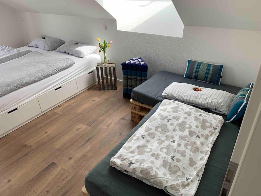 Wohnung Am Fusse Des Schwarzwalds Oberkirch  Esterno foto